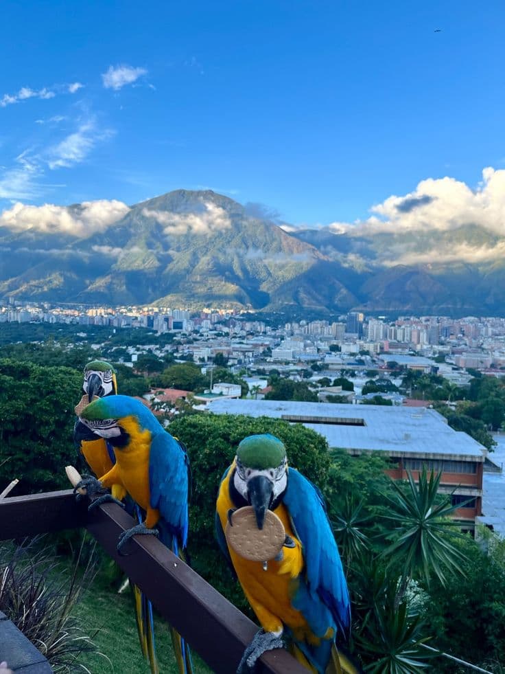 Caracas y El Ávila